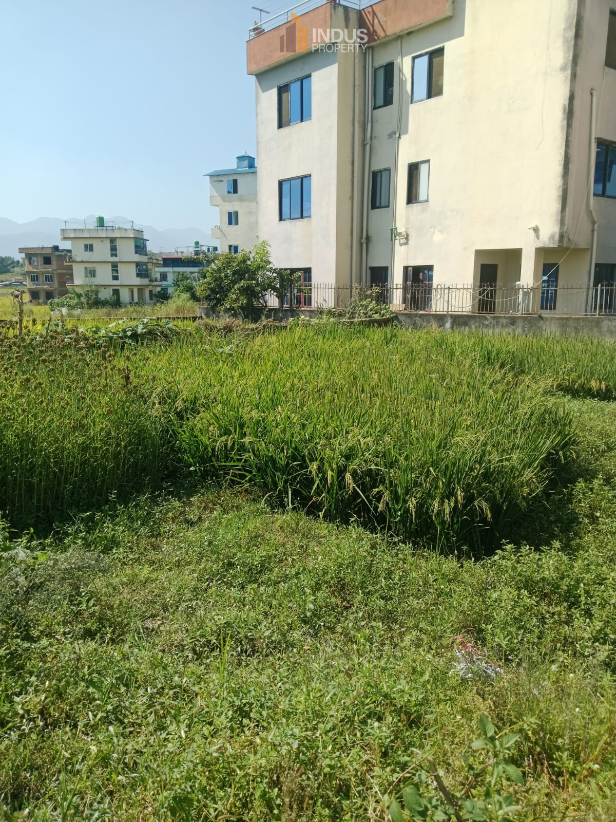 property-image
